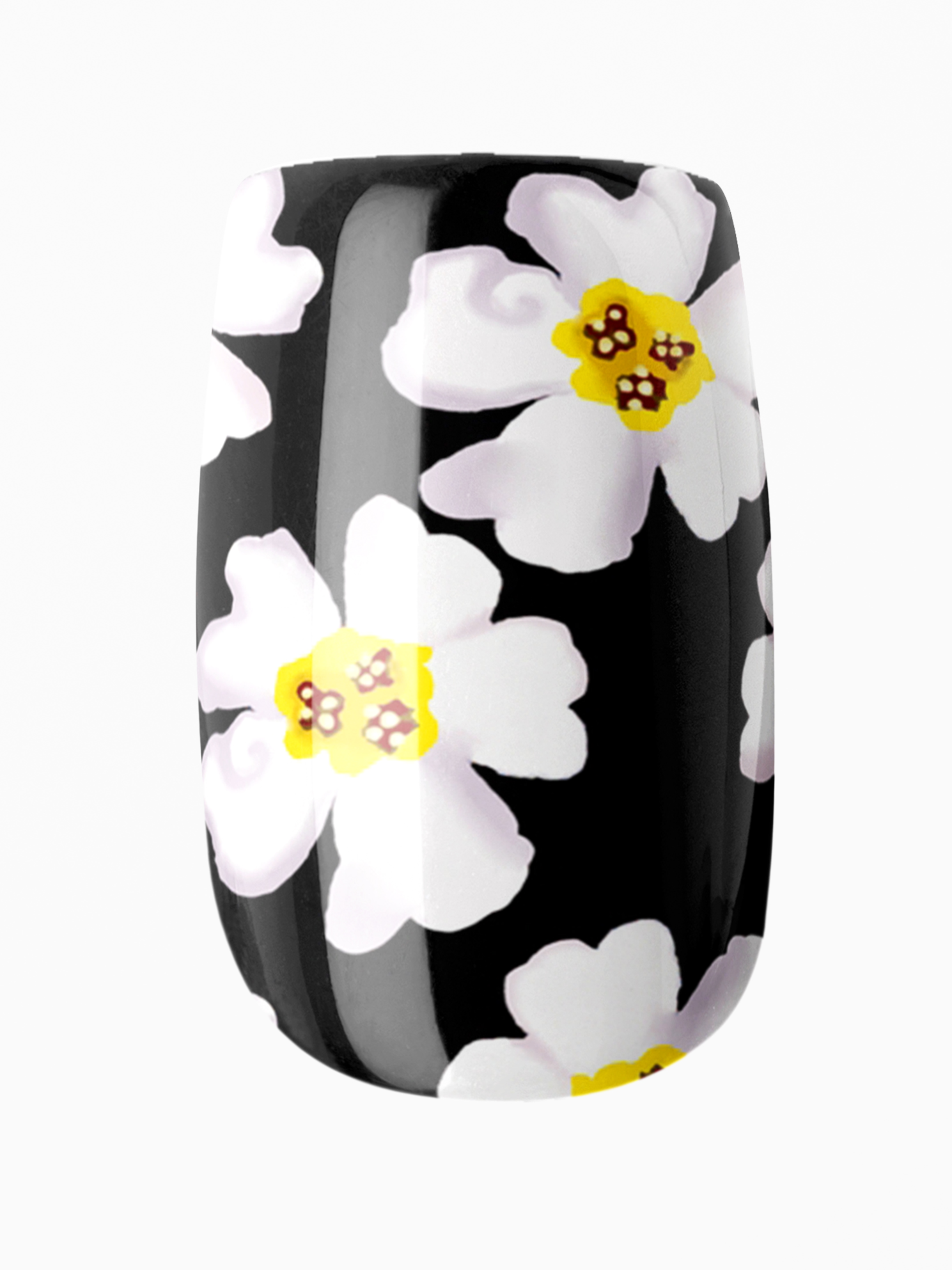 Black nail wrap with white flowers and yellow centers on a white background